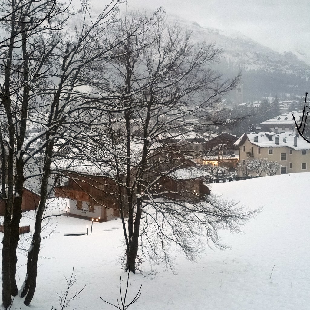 Cortina-9